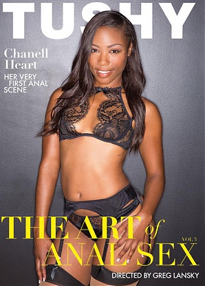 The Art Of Anal Sex 3