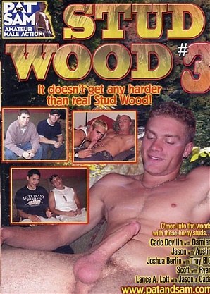 Stud Wood 3