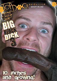 I Got Fucked By A Big Black Dick 3 (100656.0)