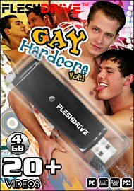 20+ Gay Hardcore Vol. 1 Videos On 4gb Usb Fleshdrive (114267)