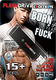 15+ Born To Fuck Video on 4gb usb FLESHDRIVE (116593)