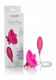 Venus Butterfly Pump Pink (77057.3)